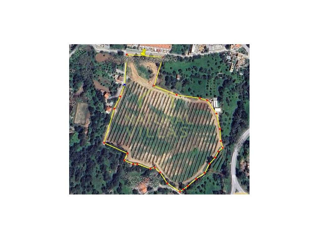 Terreno com potencial para Construção em São Brás de Alportel - Grande imagem: 3/4