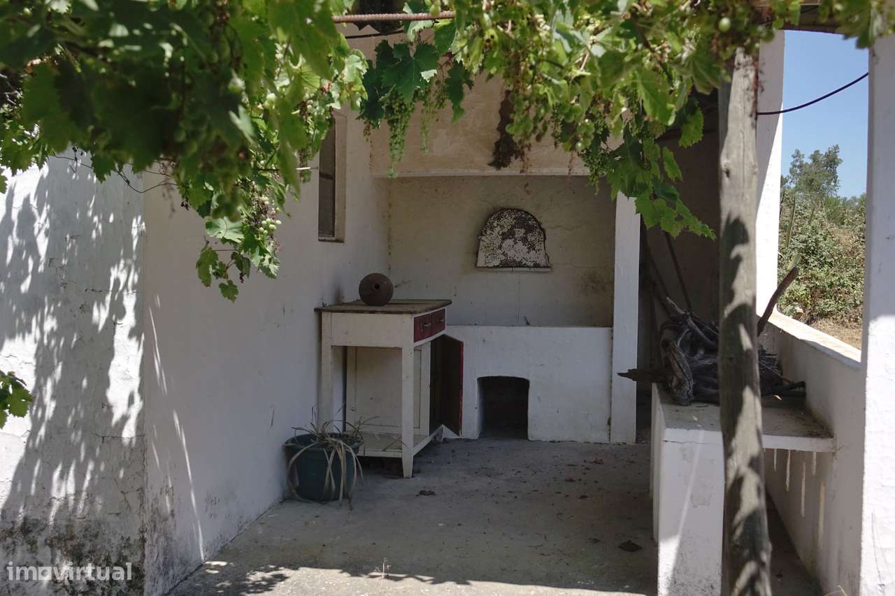 Quinta da Charneca Ribatejana - Zebro / Coruche-6