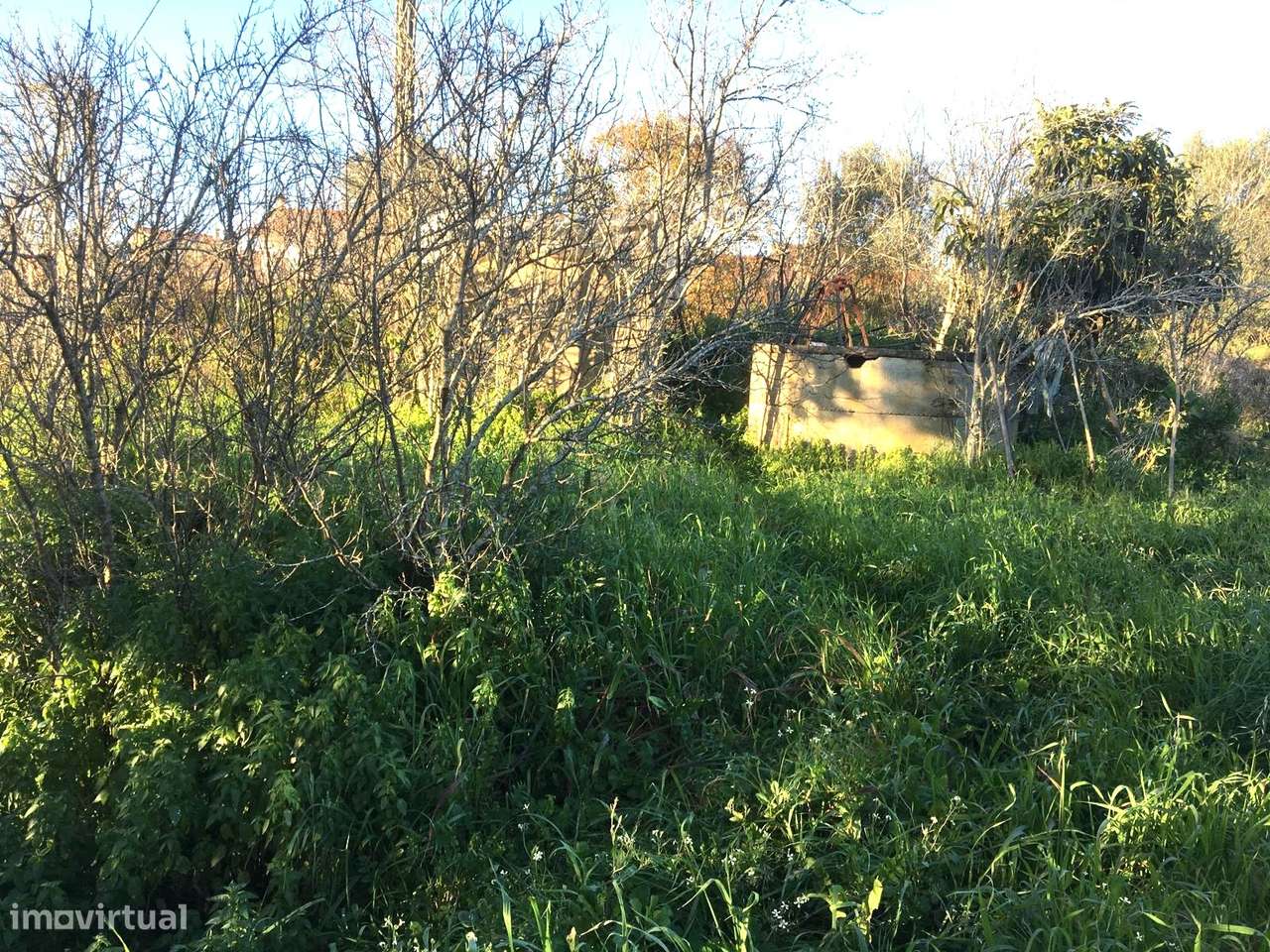 Terreno / Construção / Matoeira / Regueira de Pontes / Leiria - Grande imagem: 2/5