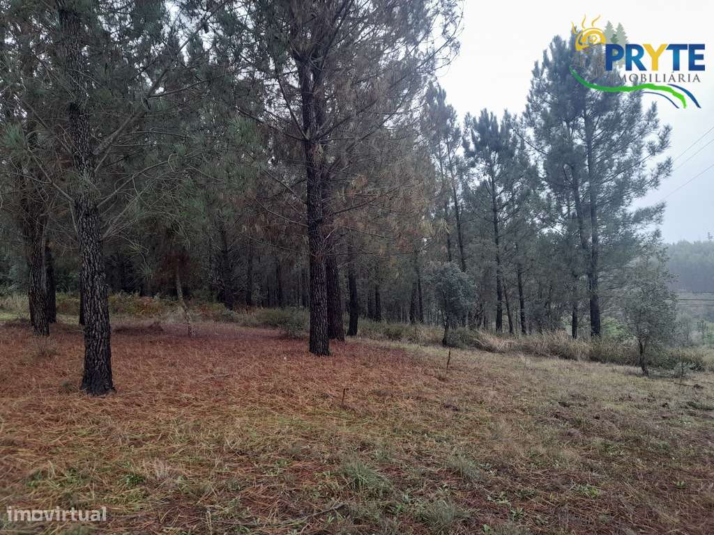 Moradia de tipologia T2 situada a 5 minutos da Vila da Sertã-36