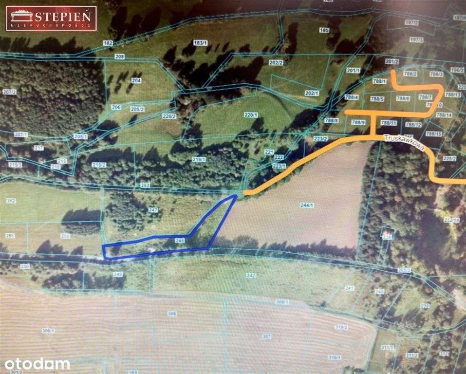 Działka, 16 600 m², Smolnik - Pełny obrazek: 4/6