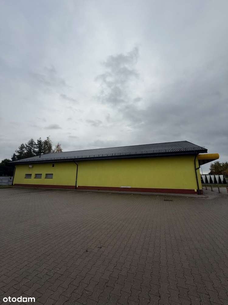 Obiekt na handel lub usługi z dużym parkingiem-2