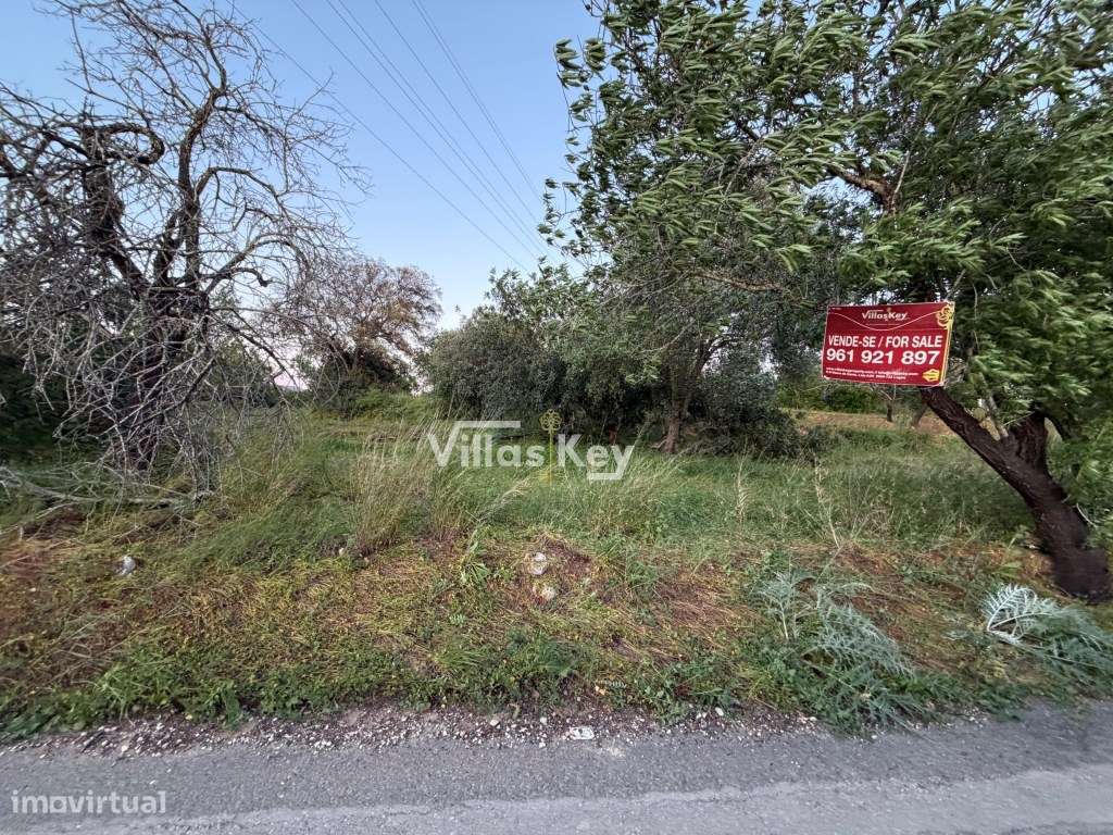 Terreno rústico com terra fértil para agricultura, tanque,nora,bons...-5