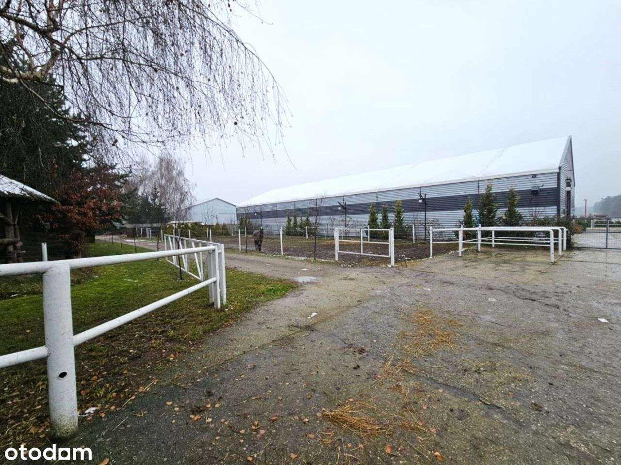 Dochodowa stajnia położona w okolicy Strykowa-6