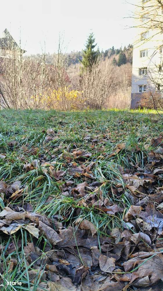 Vânzare 800mp, acces asfaltat-Proiect cu autorizatie de construire-4