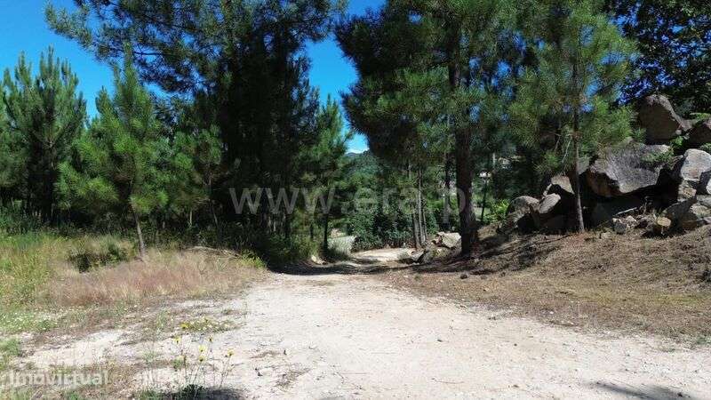 Quintinha / Marco de Canaveses, Penhalonga e Paços de Gaiolo - Grande imagem: 4/10