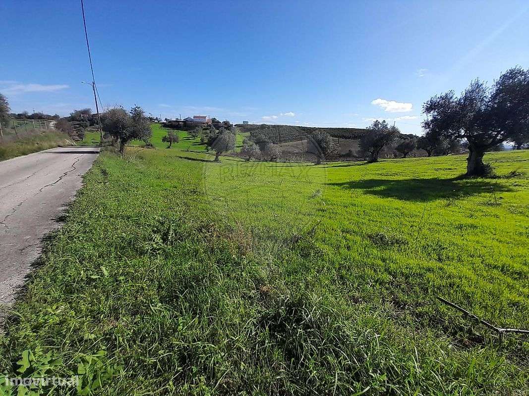 Terreno  para venda - Grande imagem: 3/6