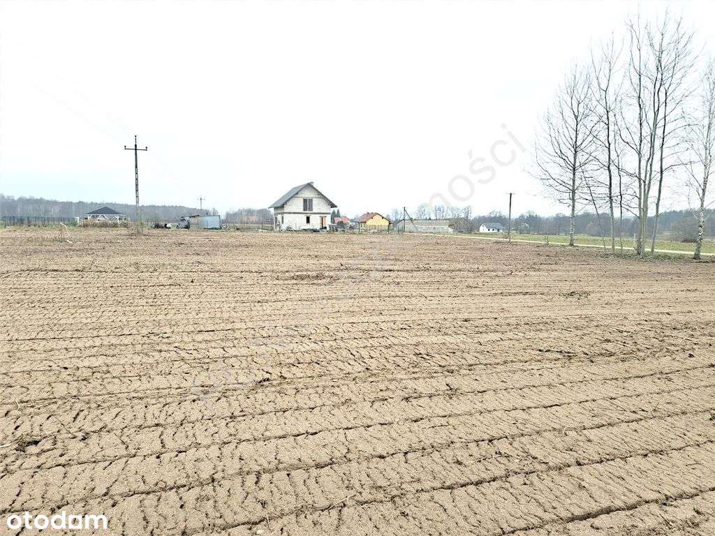 Działka budowlana w Barczącej ul. Grabowa - Pełny obrazek: 5/15