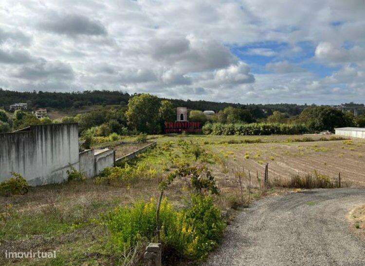Terreno c/ 13.102 m2, 2100m2 para construção, Cortes, Leiria - Grande imagem: 2/6