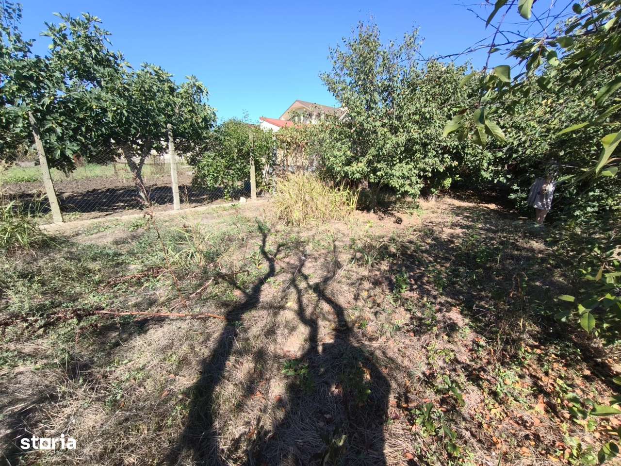 Comision 0% - Casă Tradițională cu Teren Generos în Valu lui Traian-8