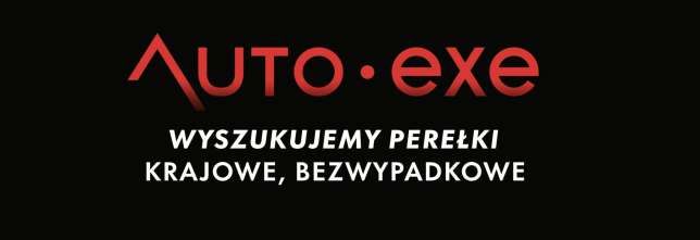 Auto.EXE logo