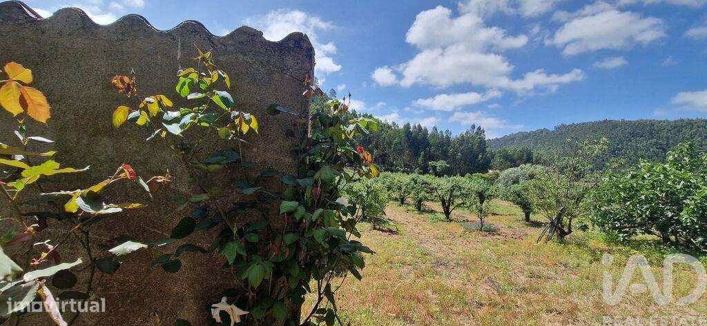 Terreno em Azueira e Sobral da Abelheira de 7812,00 m2 - Grande imagem: 3/21