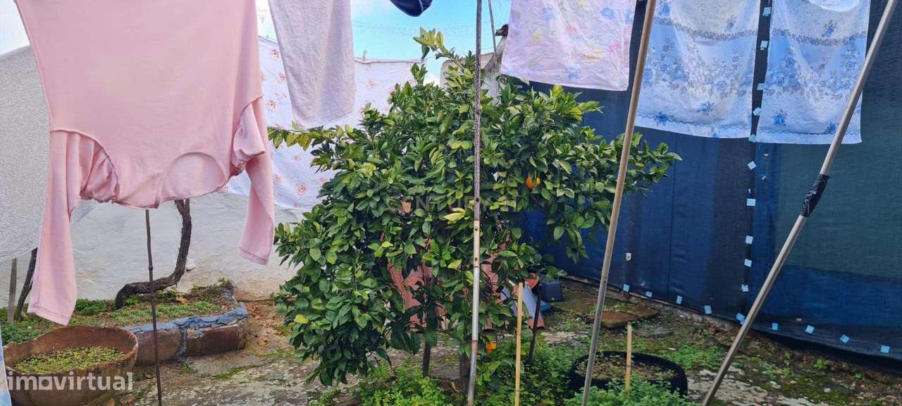 Viver na paisagem alentejana – T2 na Vidigueira-15