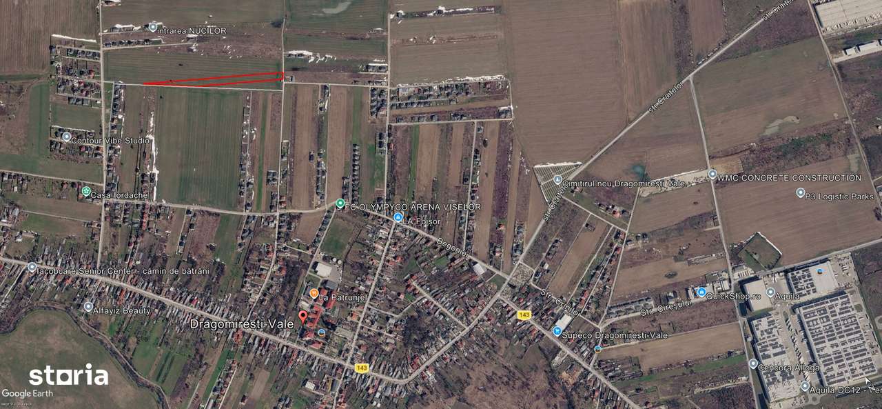 Dragomiresti Vale teren intravilan 10.000 mp, asfalt si utilitati-4