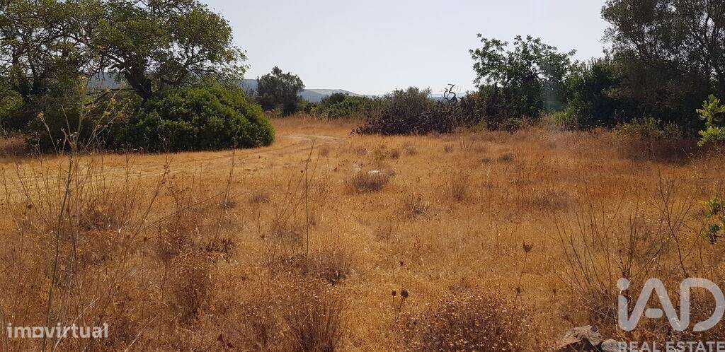 Terreno em Boliqueime de 13750,00 m2 - Grande imagem: 4/6