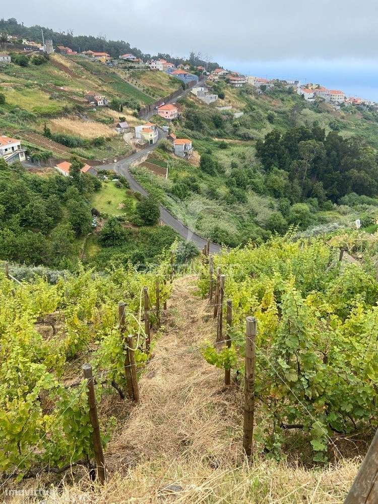 Moradia e palheiro em pedra com 2.770m2 de terreno no Arco da Calheta - Grande imagem: 5/9