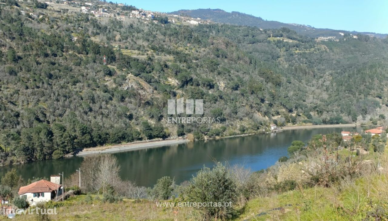 Venda Terreno, Oliveira do Douro, Cinfães