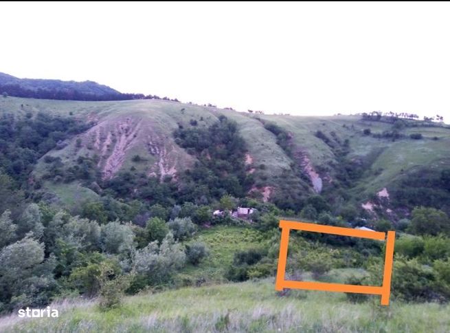 Teren 1000 mp Dealu Nou - Sărata-1