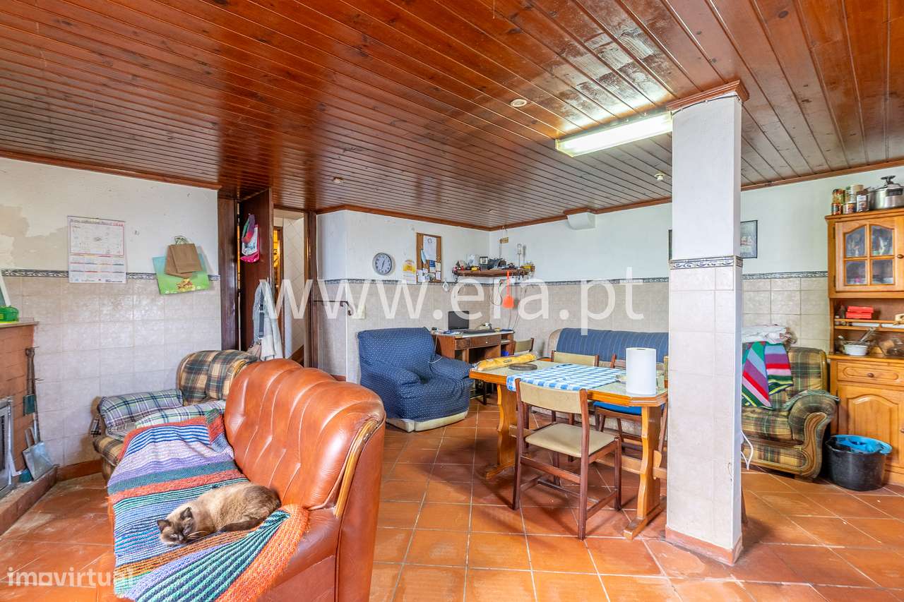 Onde a Visão Encontra a Natureza-19