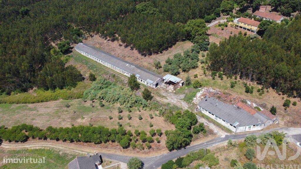 Casa / Villa em Alcobertas de 132,00 m2 - Grande imagem: 4/9