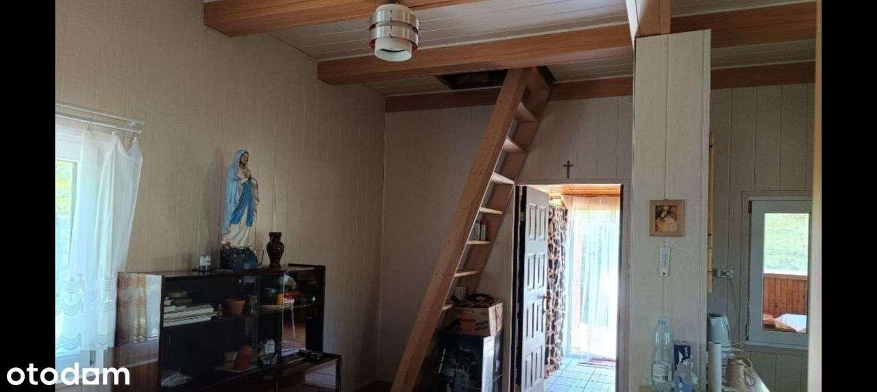 Działka siedliskowo leśna z domkiem-5