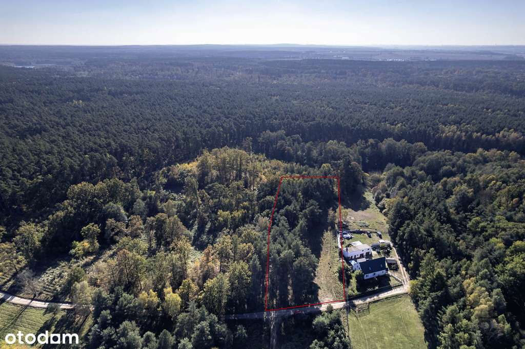 Las na własność, dom na wyłączność!-6