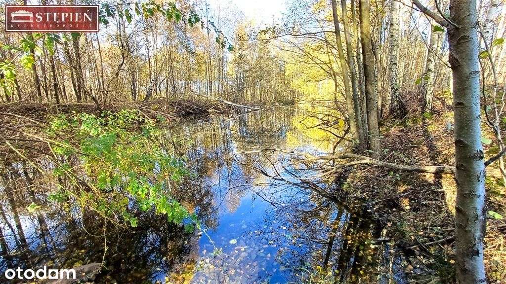 Działka rolna ze stawem Izery - Pełny obrazek: 5/8