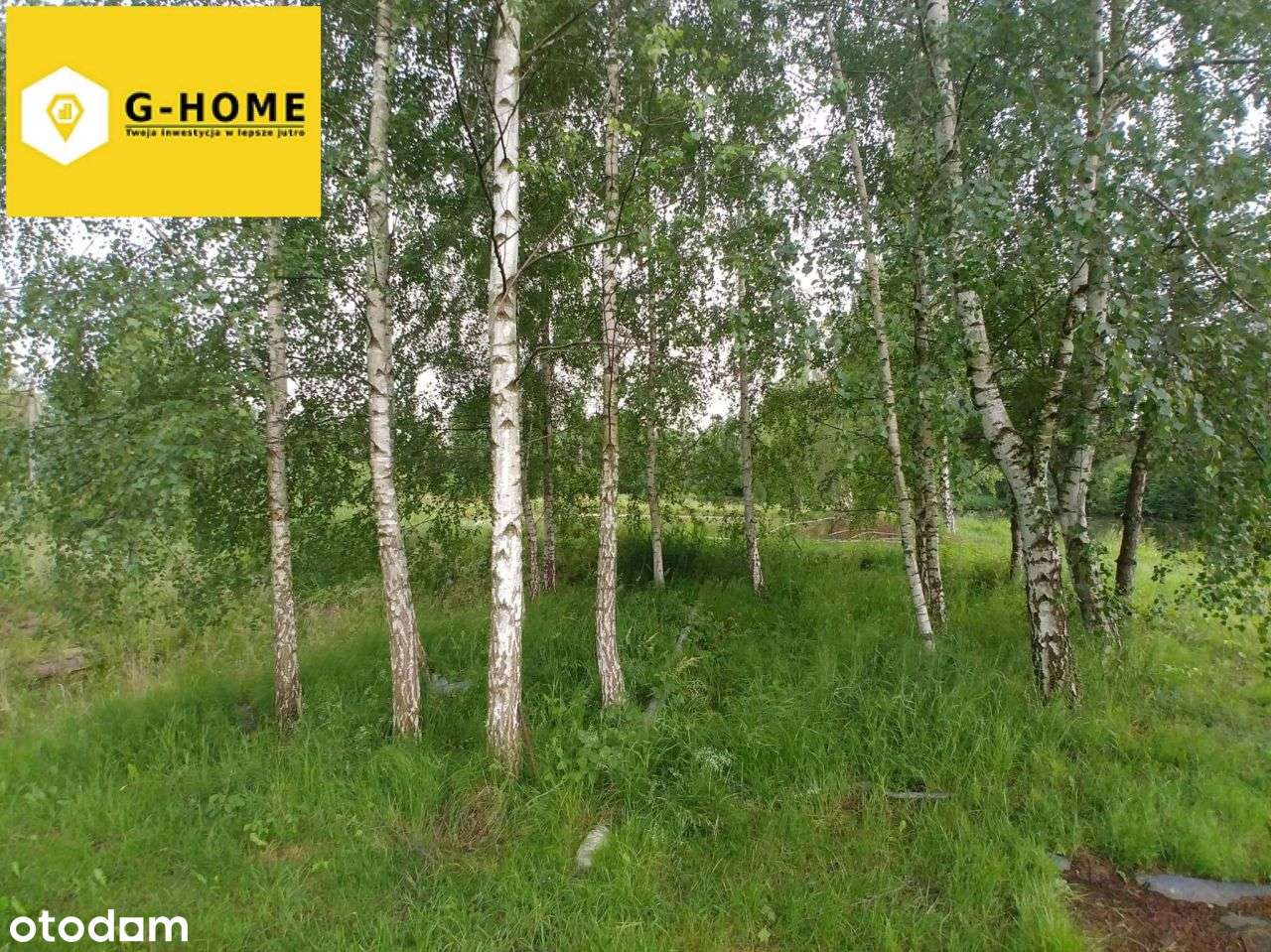 Tereny zielone - Działka z potencjałem-11