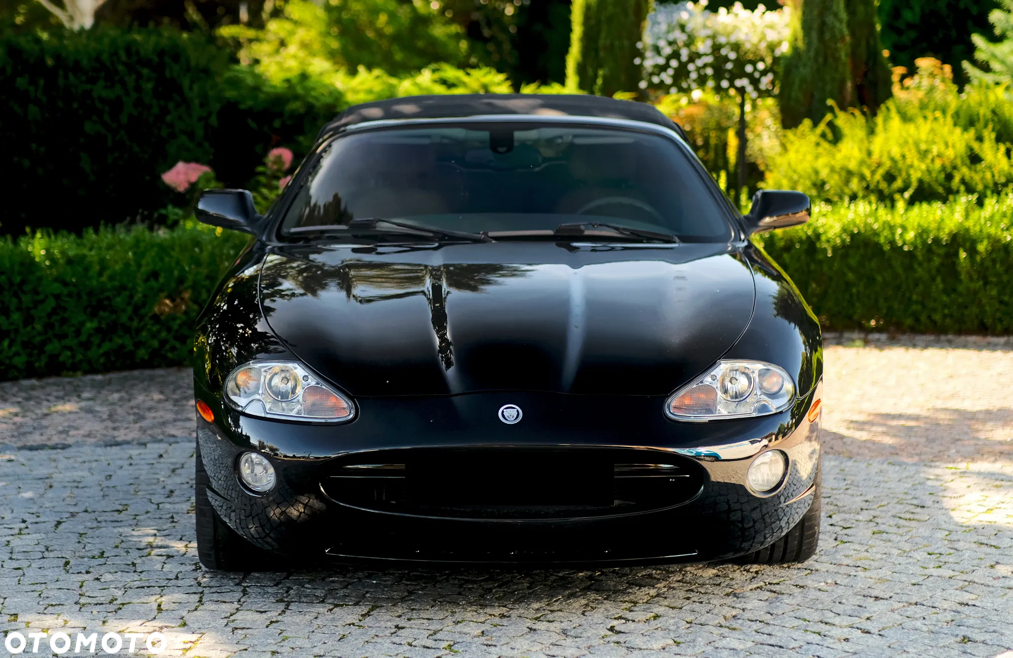 Jaguar XK8 4.2 - 16