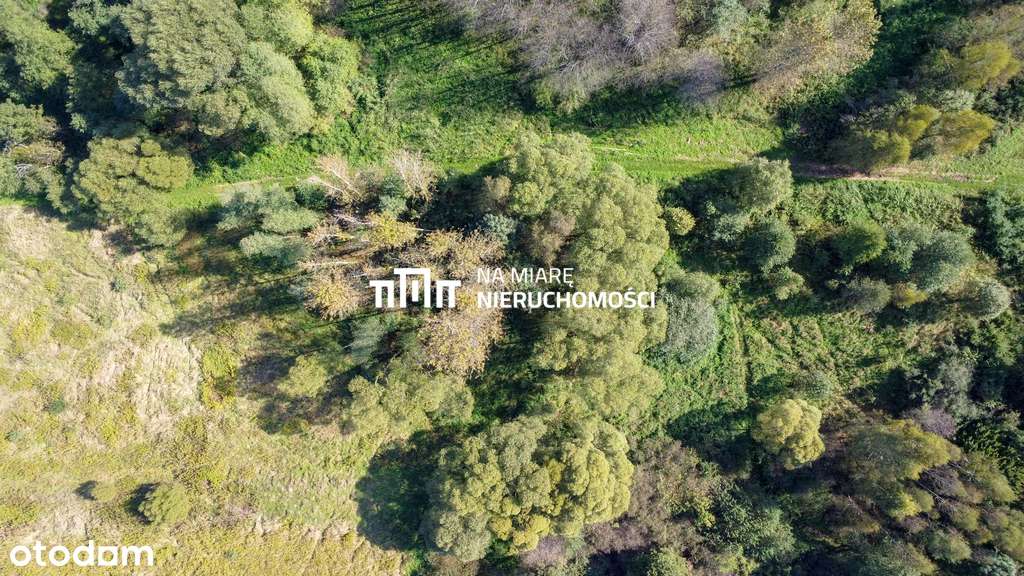 Działka rolna IV klasy | 36.3 ar - Pełny obrazek: 4/11