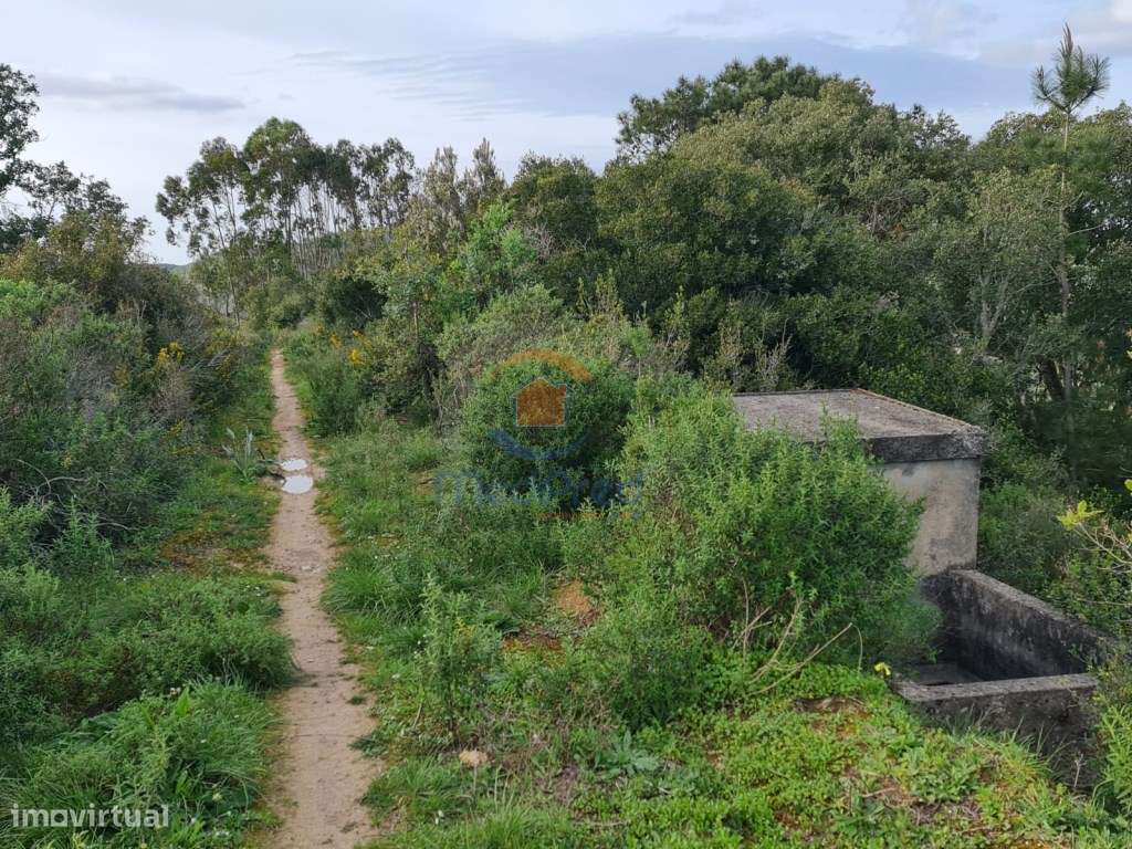 Terreno agrícola 31.000m2 | Matacães, Torres Vedras - Grande imagem: 4/4