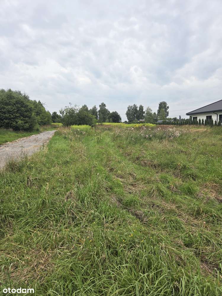 Działka 1800 m² w Myszkowie! - Pełny obrazek: 4/6