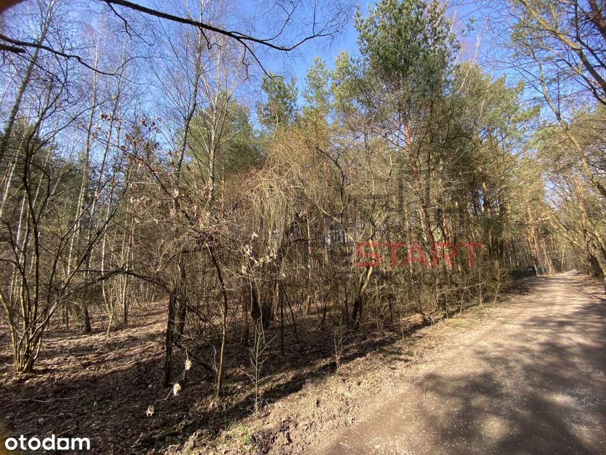 Urokliwa działka w miejscowości Siestrzeń - Pełny obrazek: 4/11