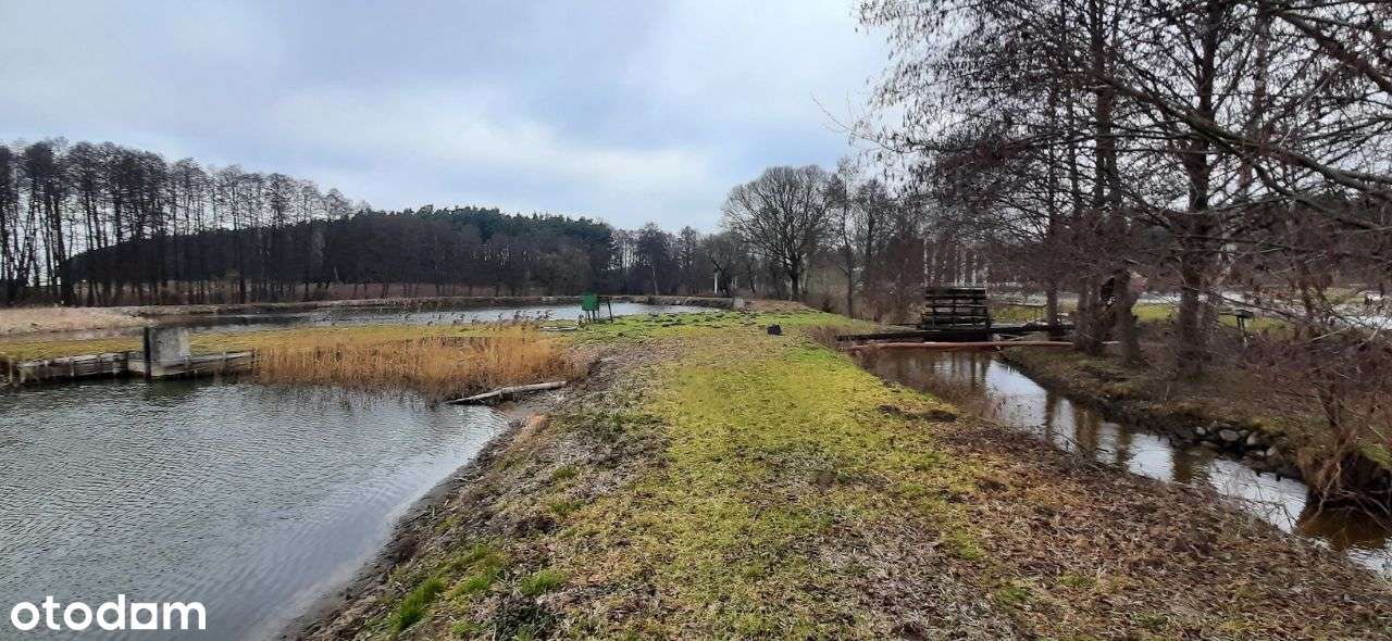 Stawy, działka z Warunkami Zabudowy. - Pełny obrazek: 5/20