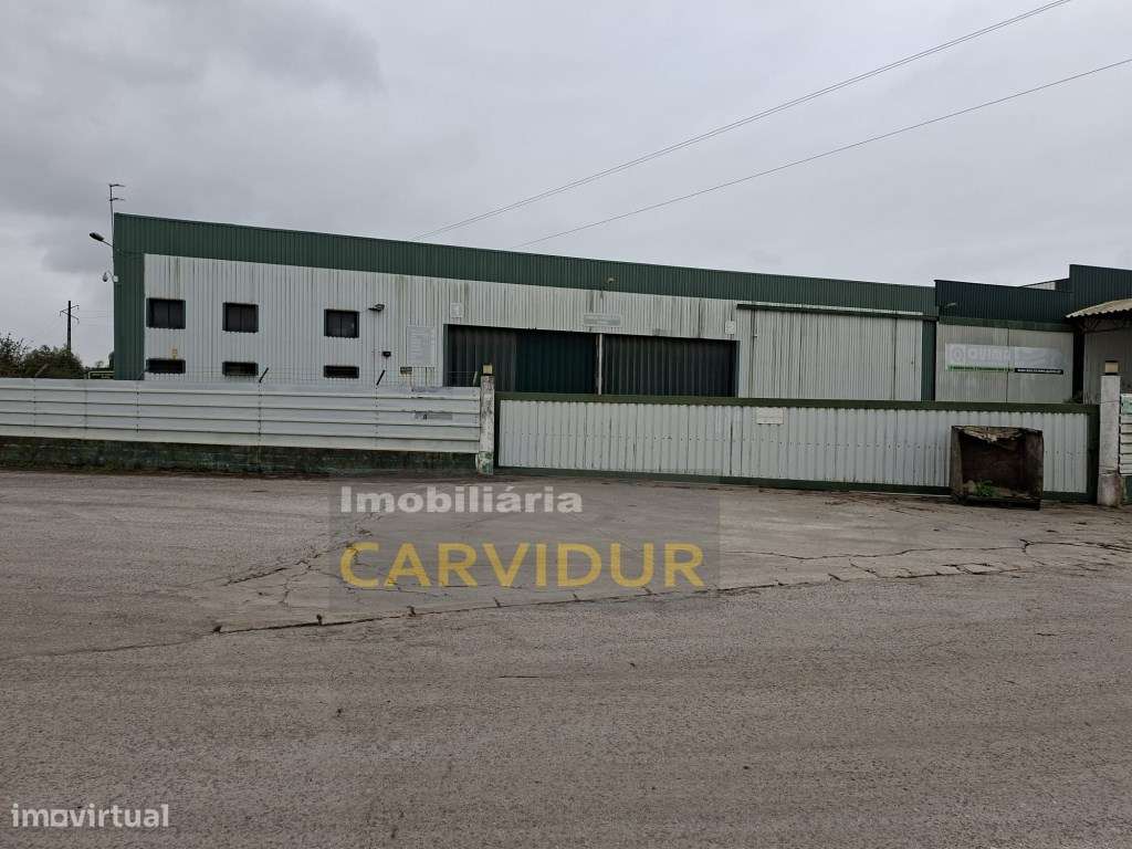 Armazém Industrial de Grande Dimensão - Parque Industrial da Mitren...-10