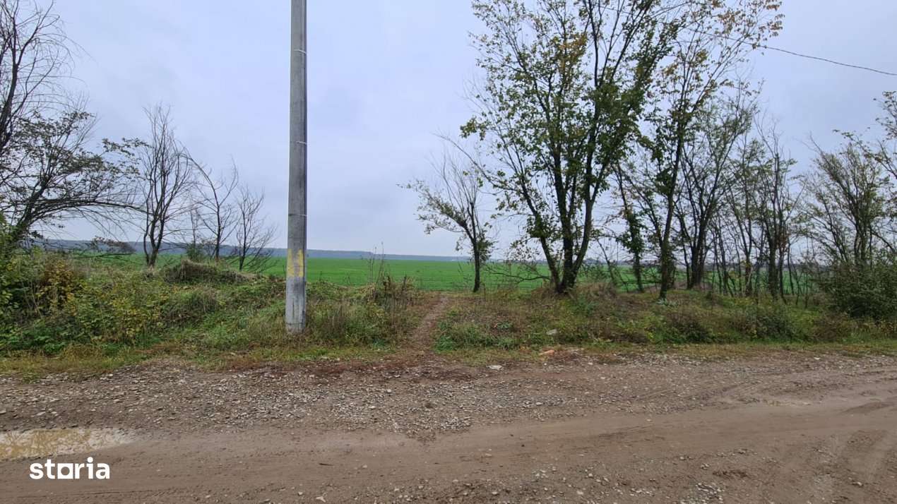 Teren Branesti -Romancierilor - Imagine principală: 4/7