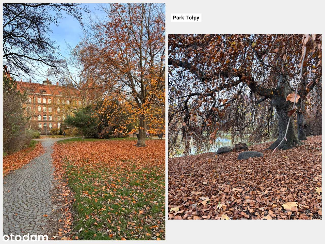 45 m²/kawalerka z nyżą/centrum i cicho/do wprowadzenia-16