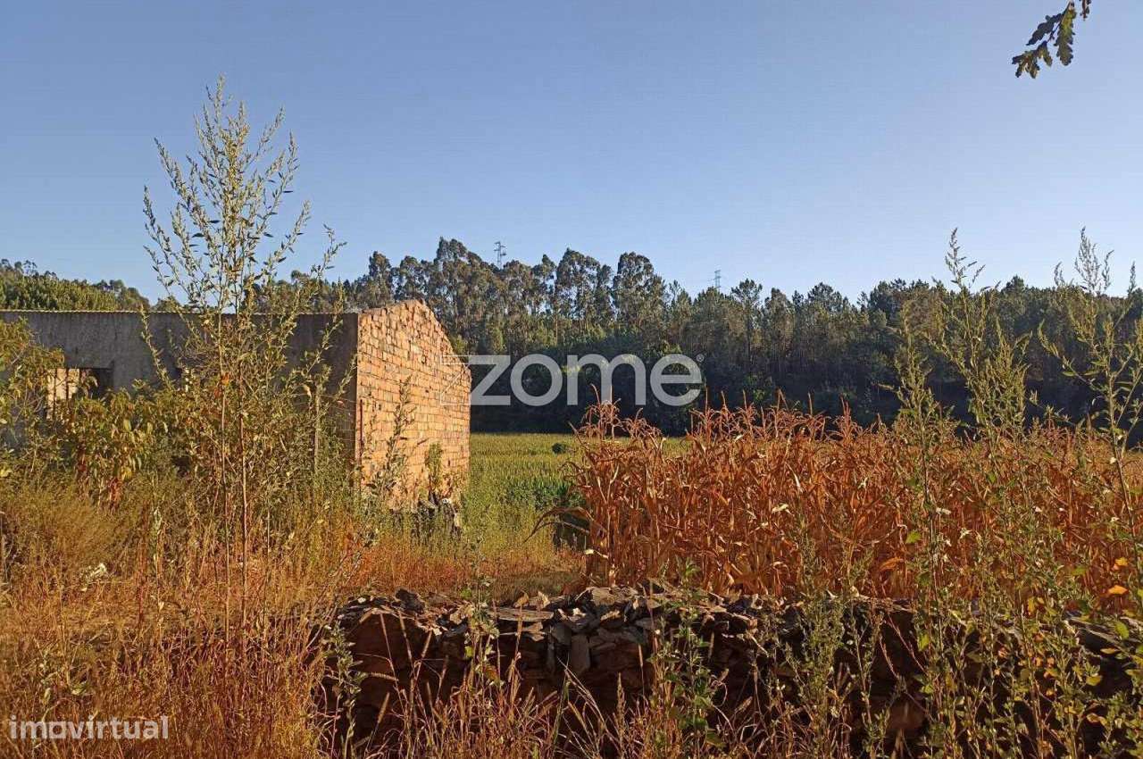 Terreno com 20.655m2 e Ruína com 452m2 em Covelas - Trofa - Grande imagem: 5/15