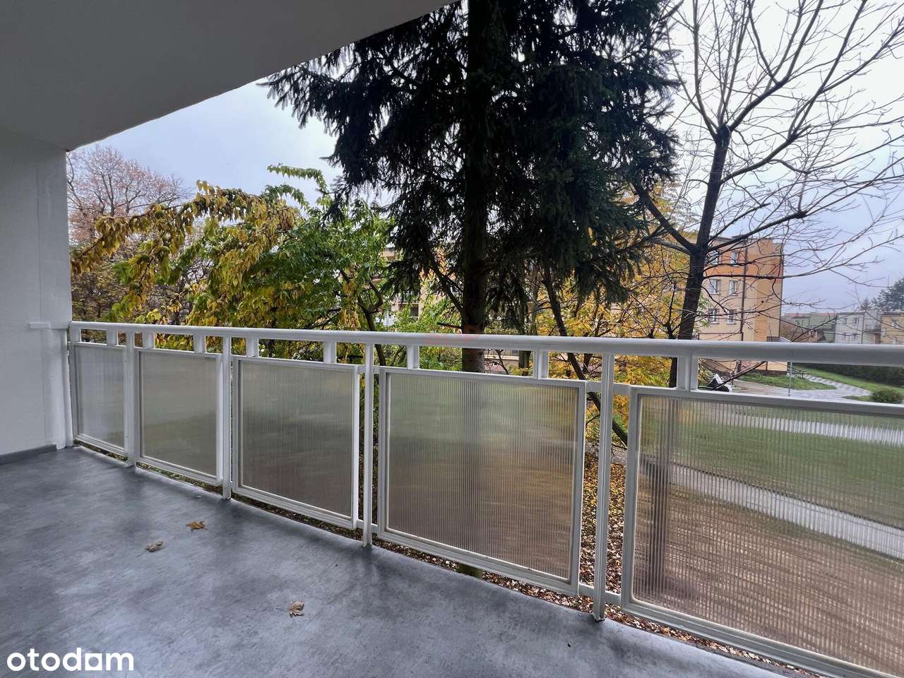 DWA POKOJE / LOGGIA / DUŻA PIWNICA / PO GENERALNYM REMONCIE - Pełny obrazek: 5/8