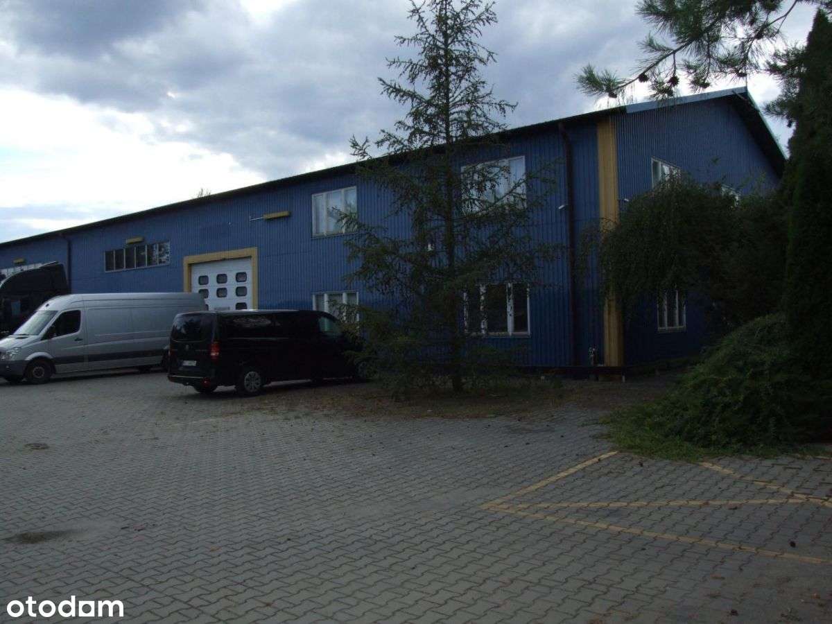 Łazy | 3 domy | 2 magazyny | ogród | staw | basen - Pełny obrazek: 5/20