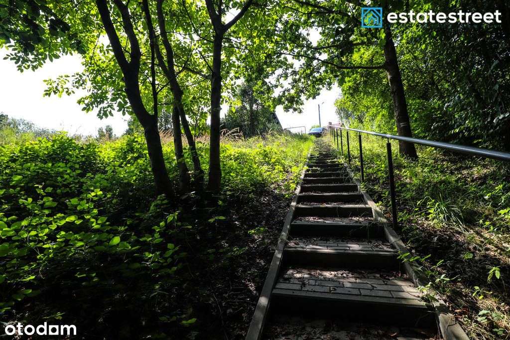 Niezwykła działka budowlana z własnym lasem - Pełny obrazek: 4/20