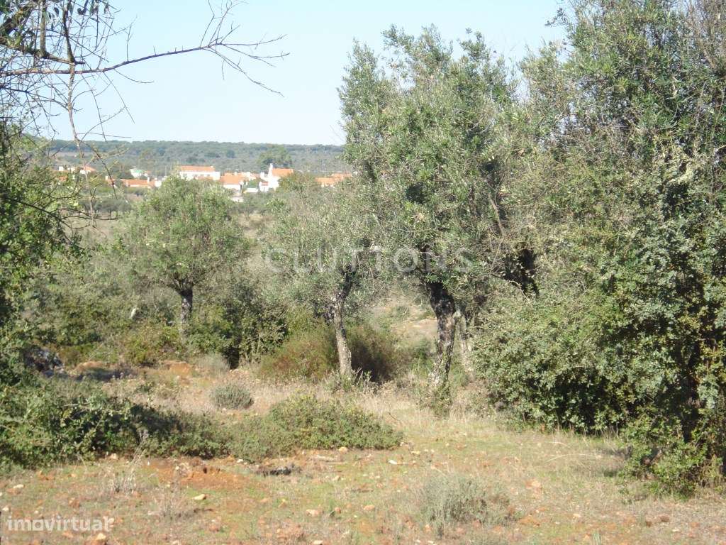 Terreno, 5.4 hectares, PIP aprovado, com possibilidade construção d...-8