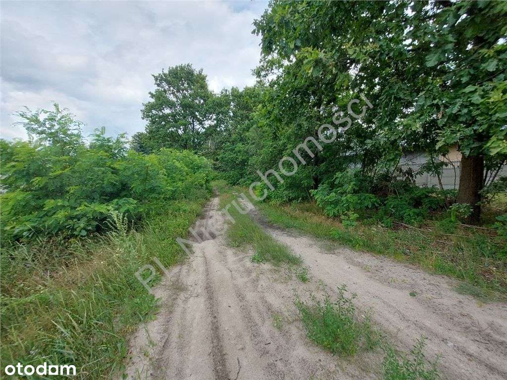 Działka Budowlana, Dojazd Asfaltem, Media. - Pełny obrazek: 4/8