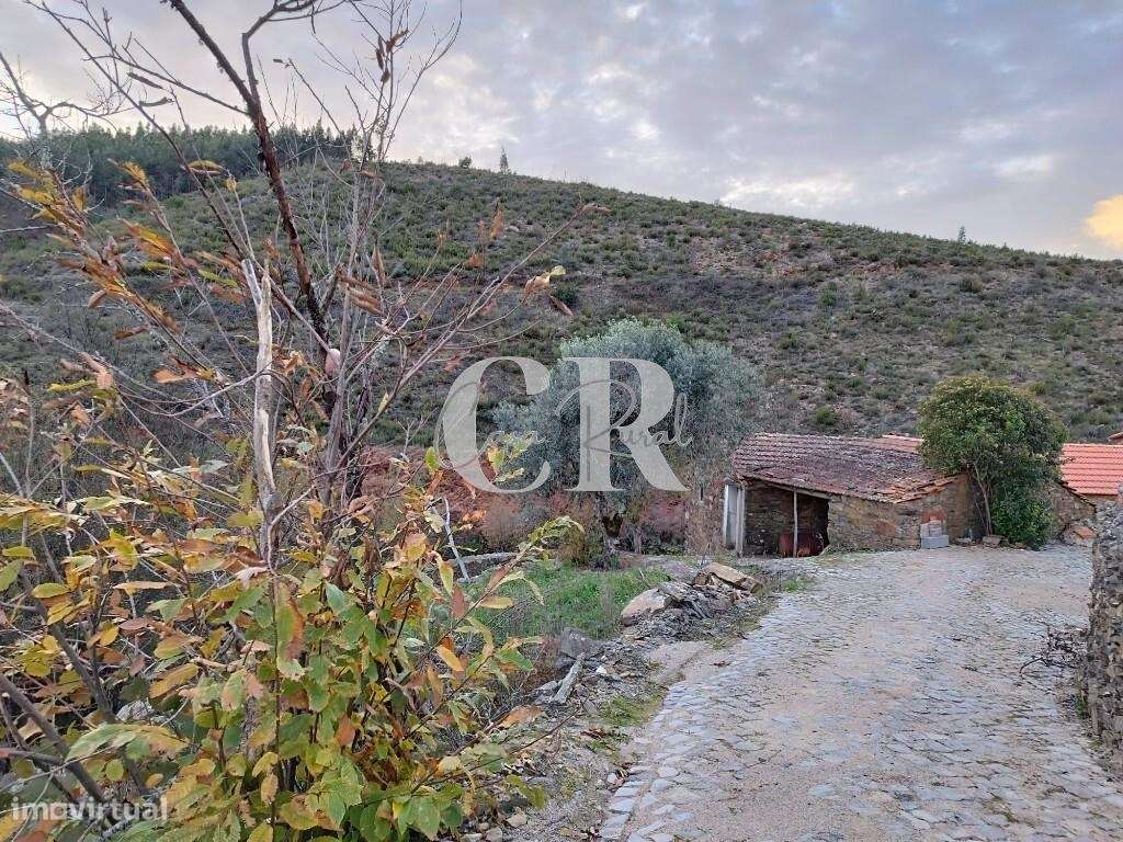 Moradias em pedra, para recuperar, a confrontar com ribeira em Oleiros - Grande imagem: 4/60