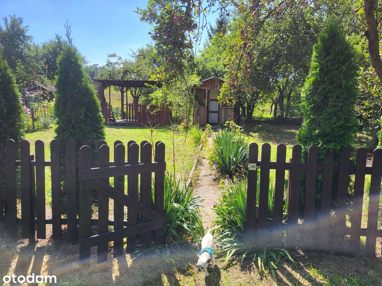 Działka ROD ładna i zadbana Leśna Polana Sołtysowice