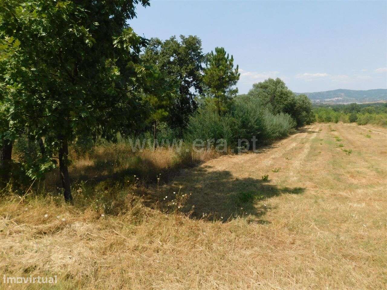 Terreno Rústico / Fundão, Donas - Grande imagem: 5/6