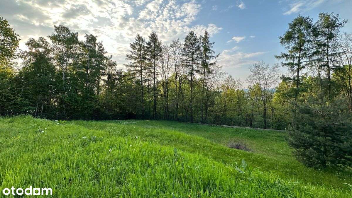 Wyjątkowa widokowa działka z prywatnym lasem - Pełny obrazek: 4/7