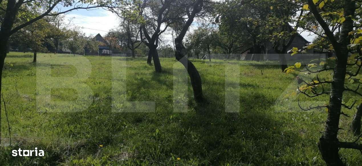 Teren intravilan, 1000 mp, Masca, comuna Iara - Imagine principală: 2/6