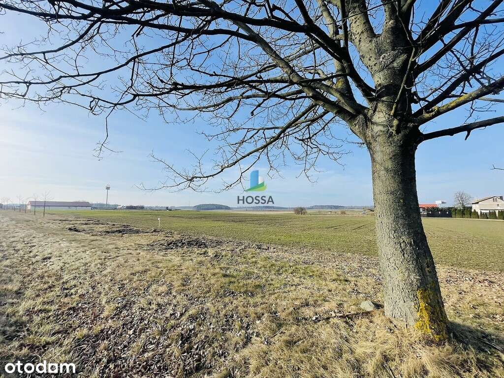 Działki budowlane Tatary - Pełny obrazek: 4/11