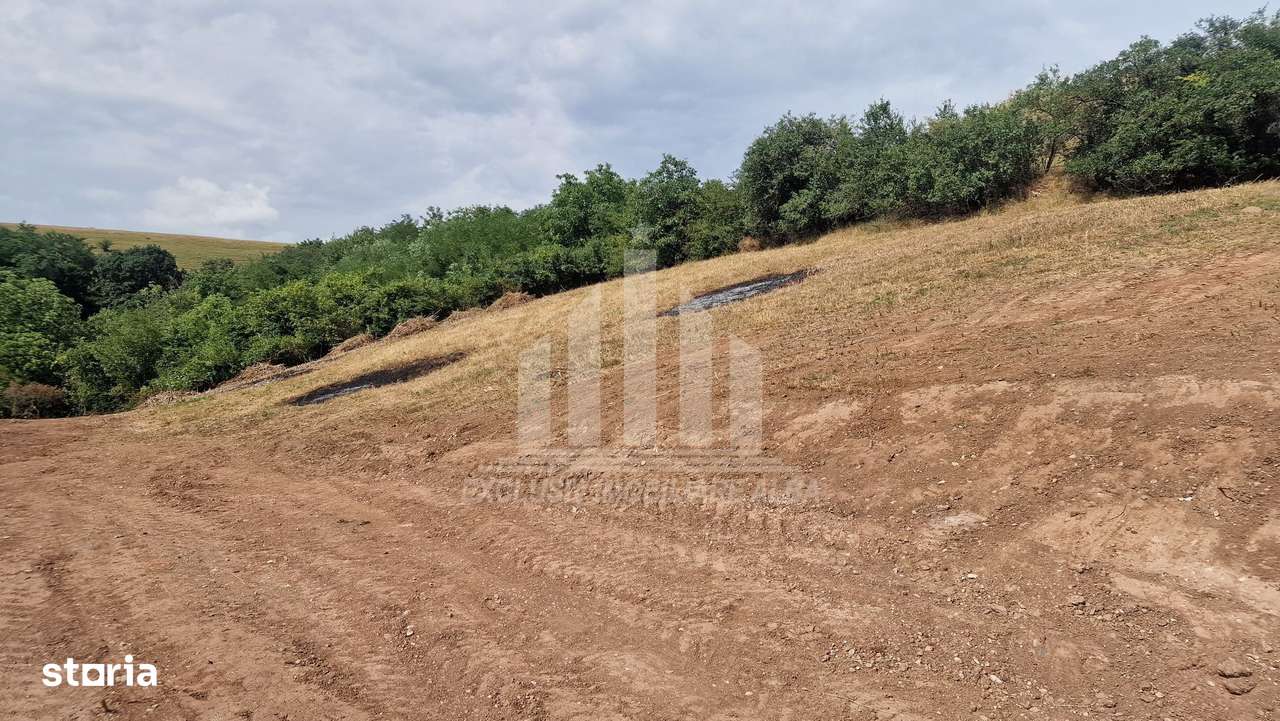 Teren intravilan intre Micesti si Sard - Imagine principală: 4/5